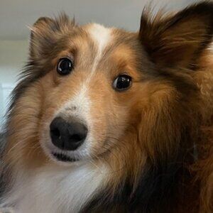 Vintage Jeans and other treasures